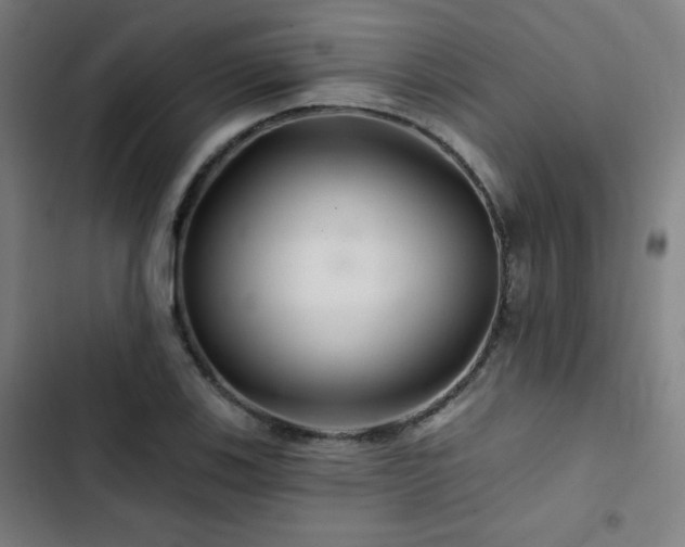 X0000103321123200809051141