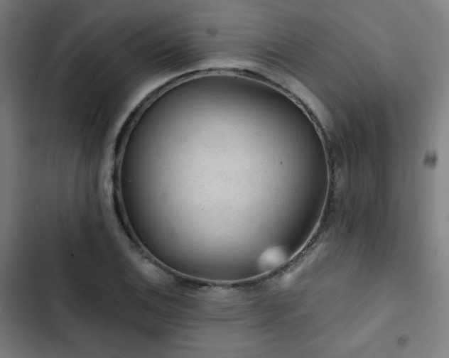 X0000103321124200809051141