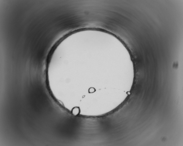 X0000103321126200809051141