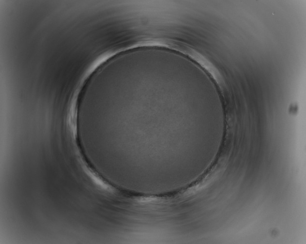 X0000103321127200809051141