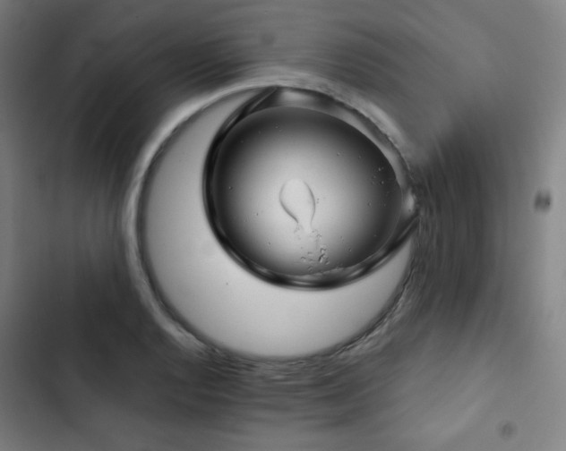 X0000103321128200809051141