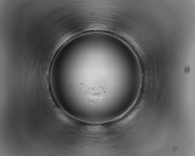 X0000103321129200809051141