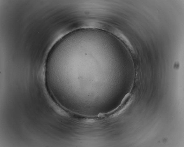 X0000103321130200809051141