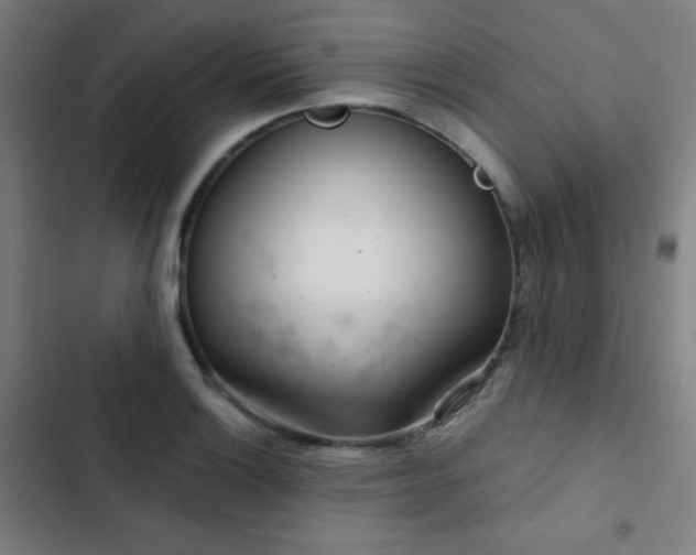 X0000103321132200809051141