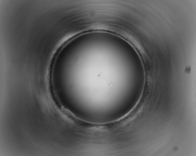 X0000103321133200809051141