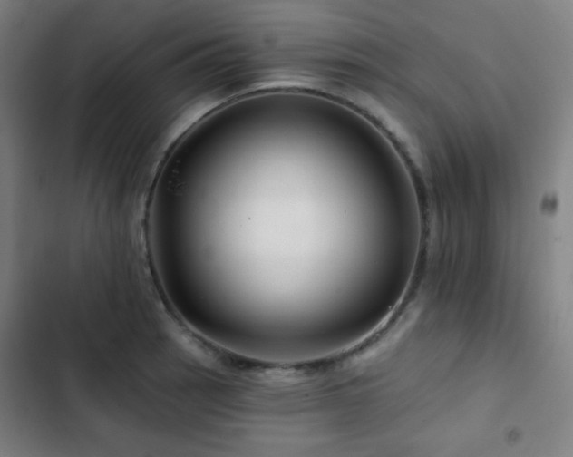X0000103321137200809051141