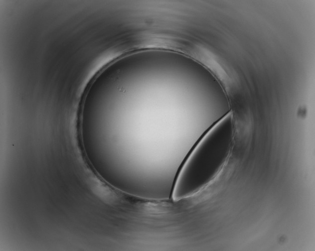 X0000103321138200809051141