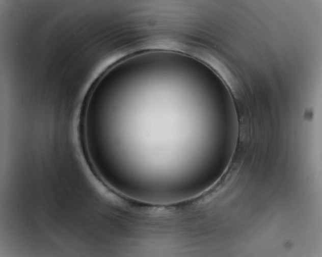 X0000103321139200809051141