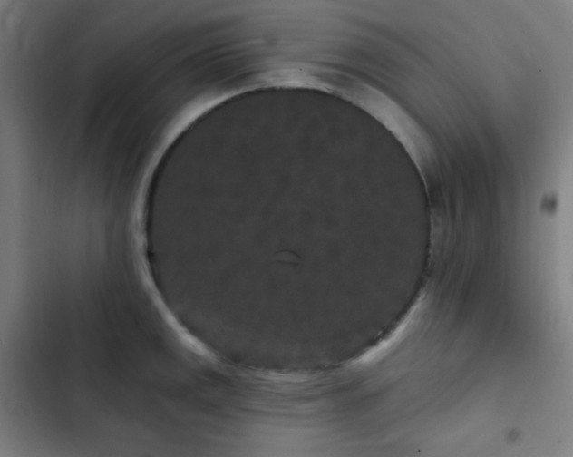 X0000103321141200809051141