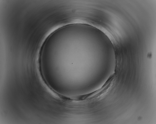 X0000103321142200809051141