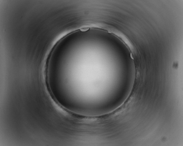 X0000103321143200809051141