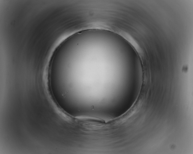 X0000103321144200809051141