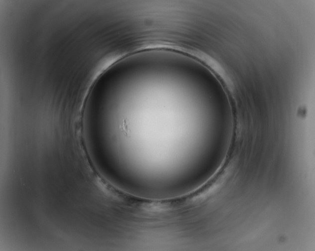 X0000103321145200809051141