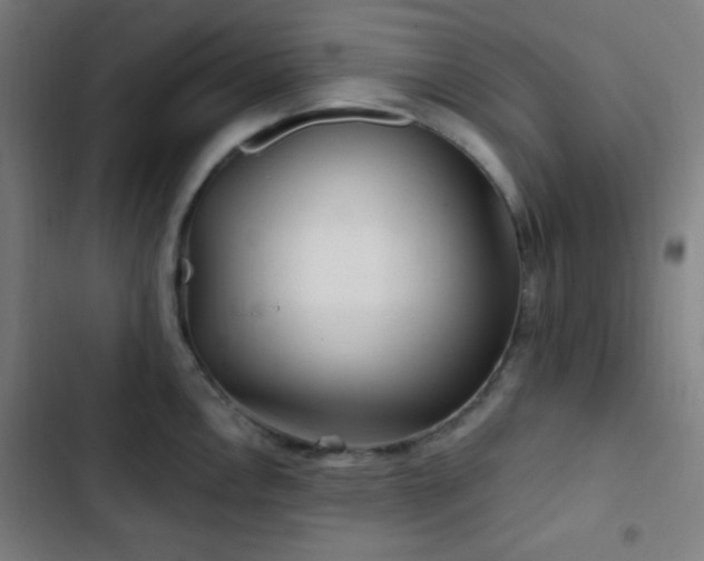 X0000103321146200809051141