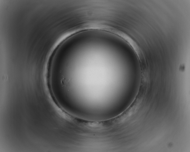 X0000103321147200809051141