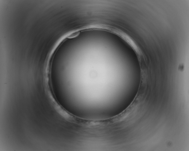 X0000103321148200809051141