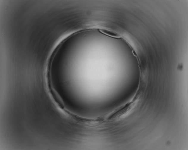 X0000103321149200809051141