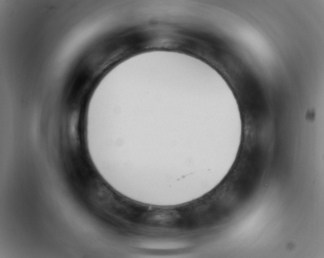 X0000103321150200809051141