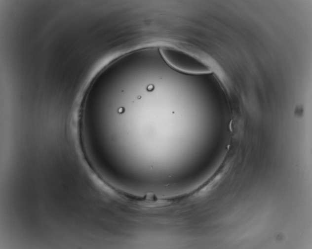 X0000103321151200809051141