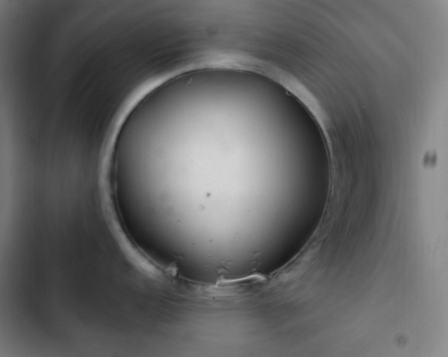 X0000103321152200809051141