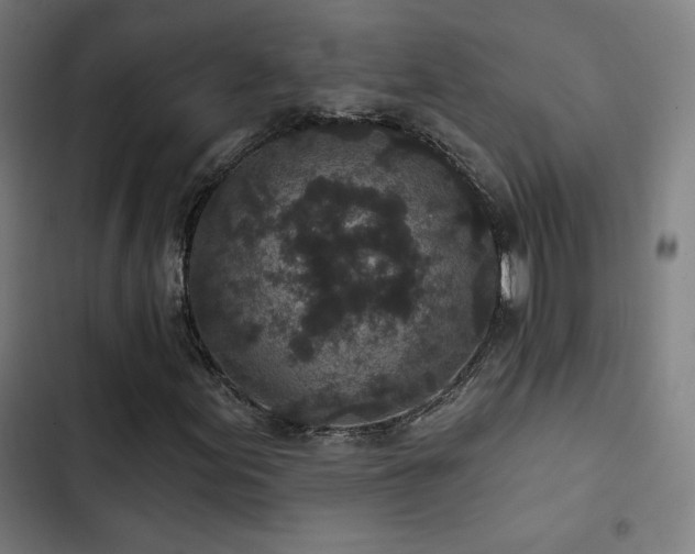 X0000103321155200809051140