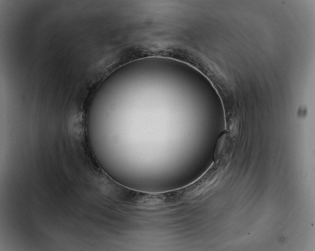 X0000103321156200809051140