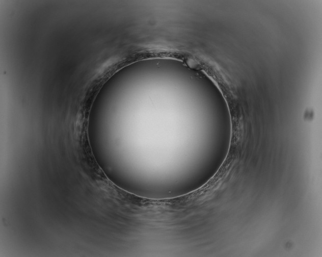 X0000103321157200809051140