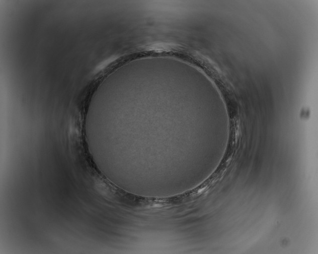 X0000103321158200809051140