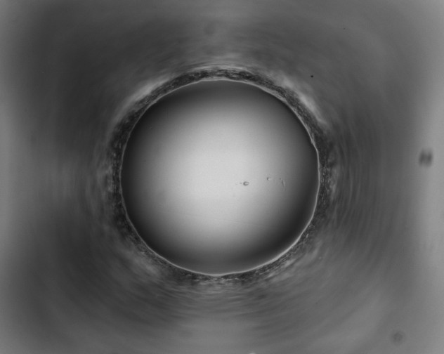 X0000103321159200809051140