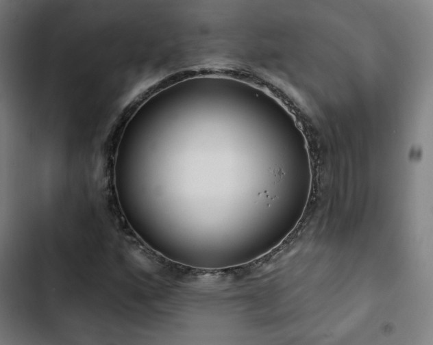 X0000103321160200809051140