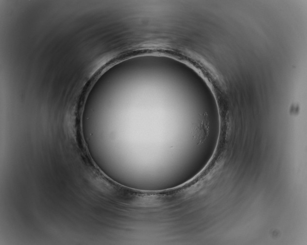 X0000103321162200809051140