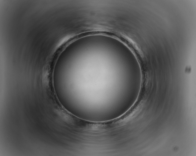 X0000103321163200809051140