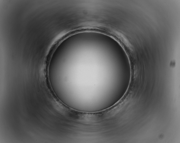X0000103321164200809051140