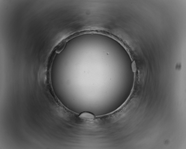 X0000103321165200809051140