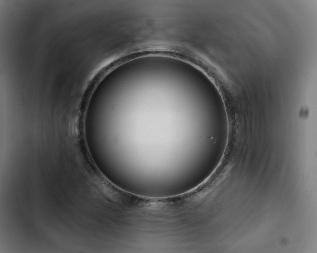 X0000103321166200809051140