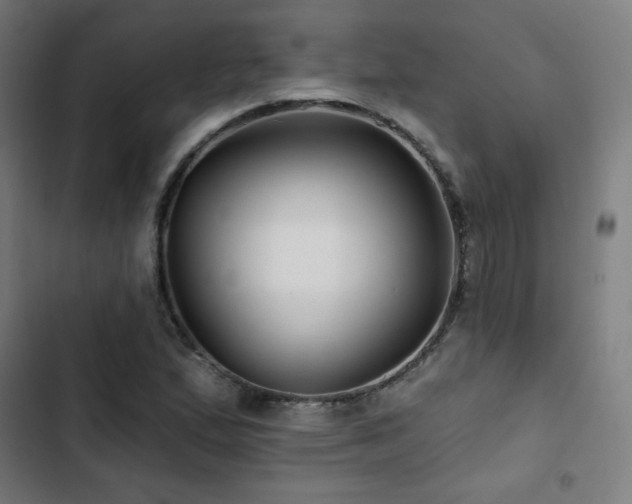 X0000103321167200809051140
