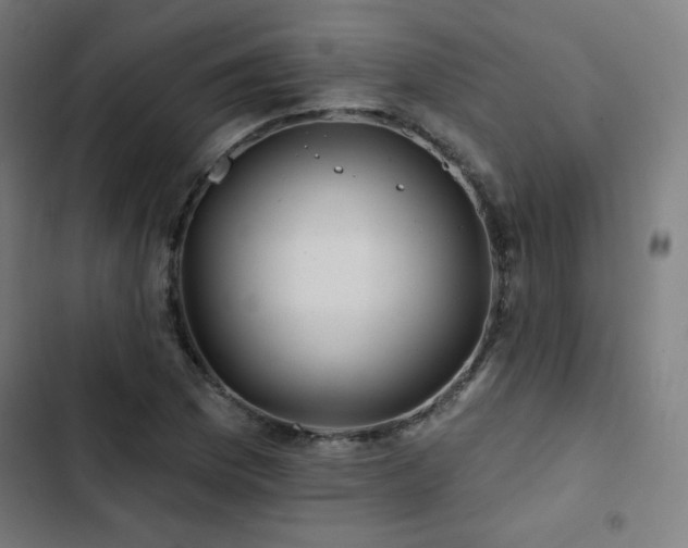 X0000103321169200809051140