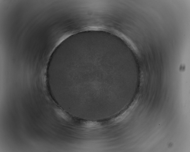 X0000103321170200809051140