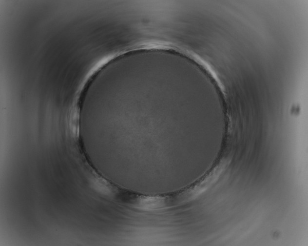X0000103321171200809051140