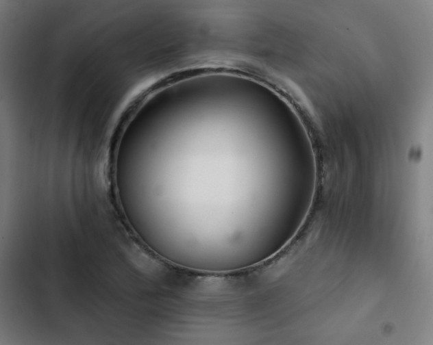 X0000103321172200809051140
