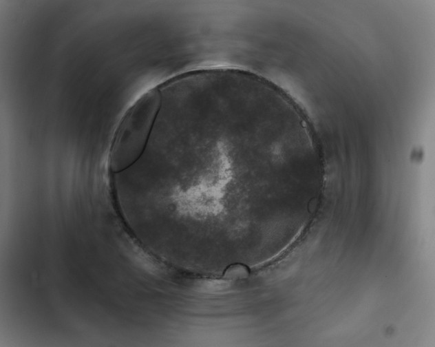 X0000103321173200809051140