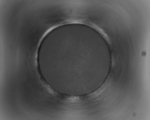 X0000103321174200809051140