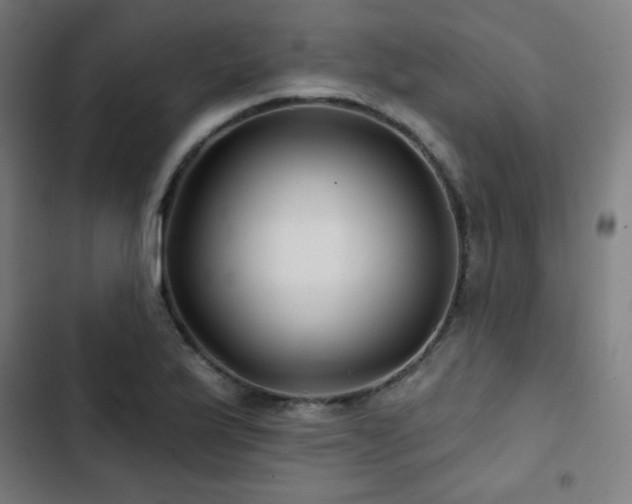 X0000103321175200809051140