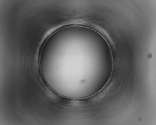 X0000103321176200809051140