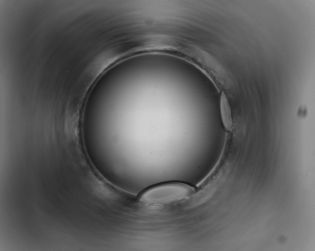 X0000103321177200809051140