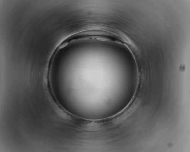 X0000103321178200809051140