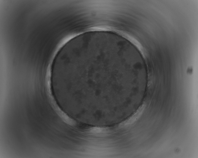 X0000103321179200809051140
