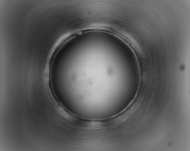 X0000103321180200809051140