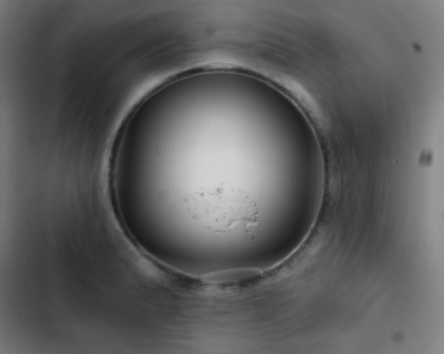 X0000103321183200809051140