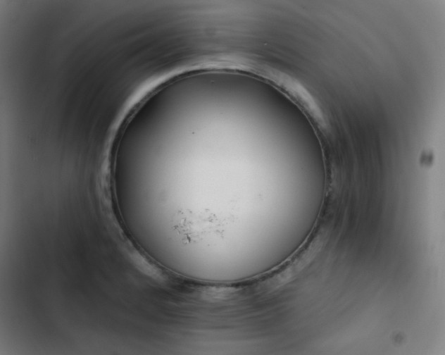 X0000103321184200809051140